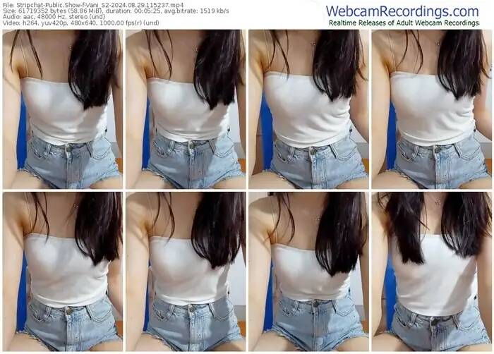 stripchat-vani_s2-08-29-2024-11-52-37