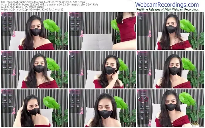 stripchat-venus_meomeo-08-29-2024-01-57-15