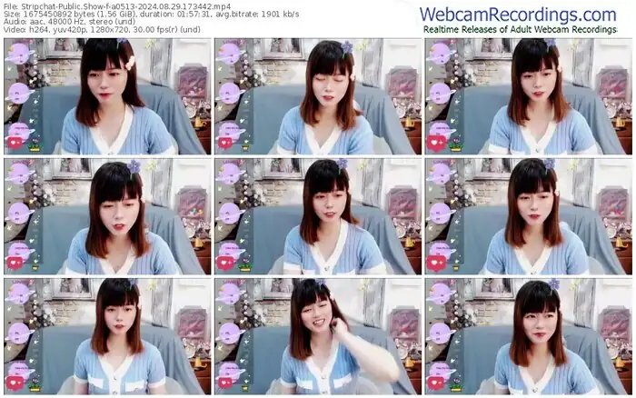 stripchat-a0513-08-29-2024-17-34-42