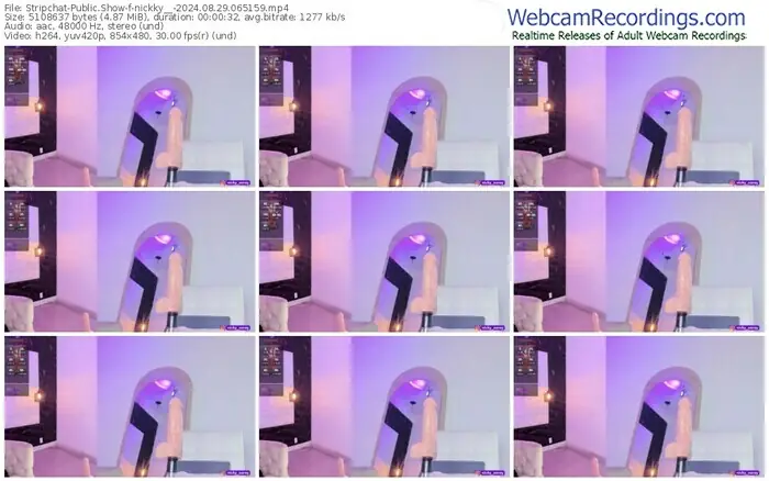 stripchat-nickky__-08-29-2024-06-51-59