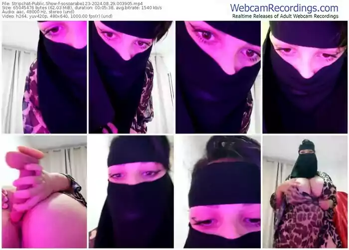 stripchat-sosoarabe123-08-29-2024-00-39-05