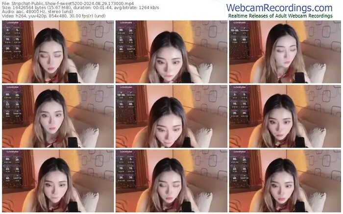stripchat-sweet5200-08-29-2024-17-30-00