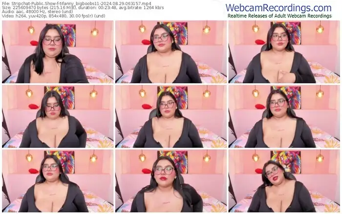 stripchat-tifanny_bigboobs11-08-29-2024-06-31-57