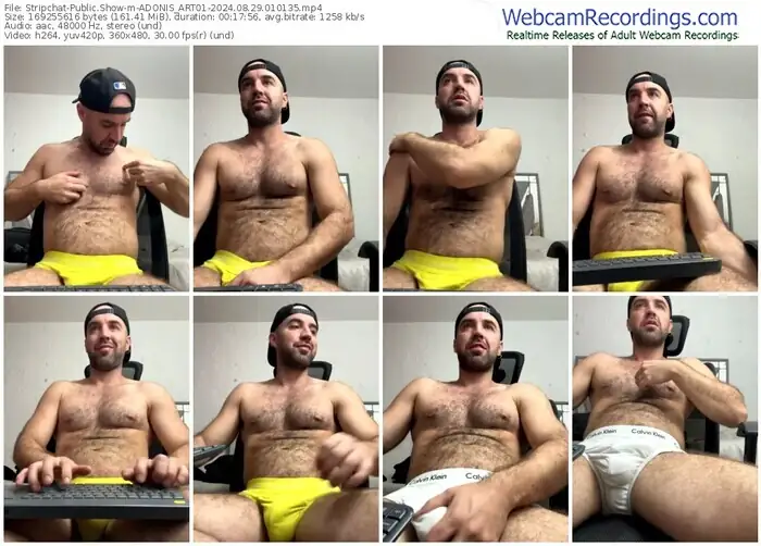 stripchat-adonis_art01-08-29-2024-01-01-35