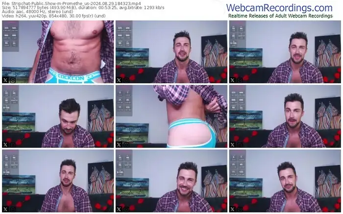 stripchat-promethe_us-08-29-2024-18-43-23