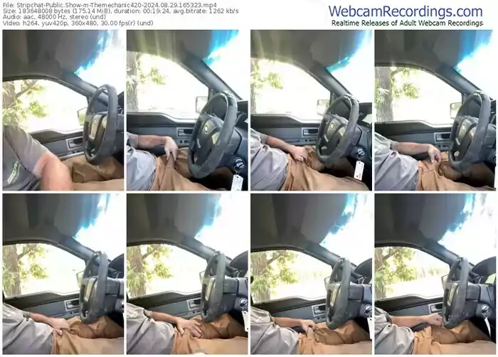 stripchat-themechanic420-08-29-2024-16-53-23