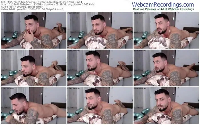 stripchat-_dylangreen-08-29-2024-07-36-41