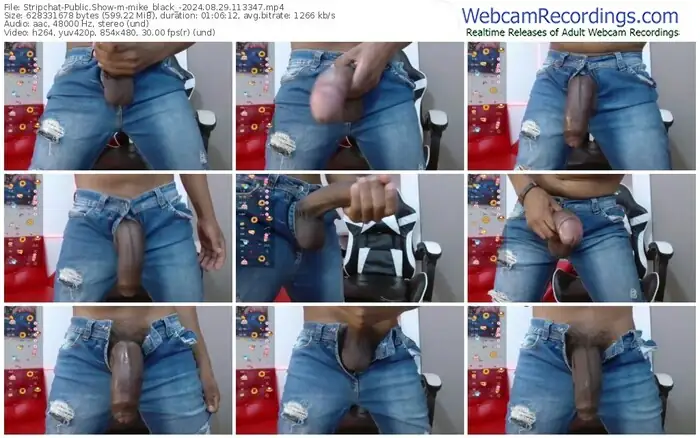 stripchat-mike_black_-08-29-2024-11-33-47
