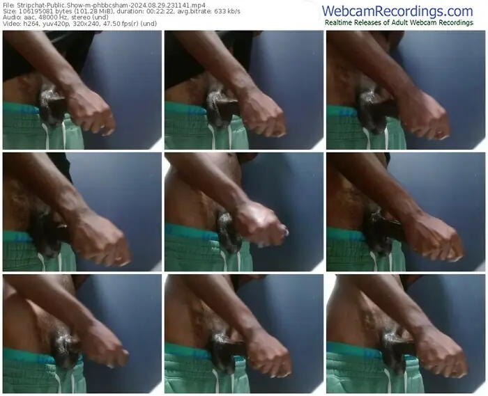 stripchat-phbbcsham-08-29-2024-23-11-41