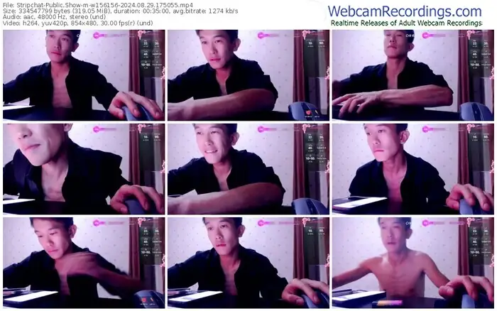 stripchat-w156156-08-29-2024-17-50-55