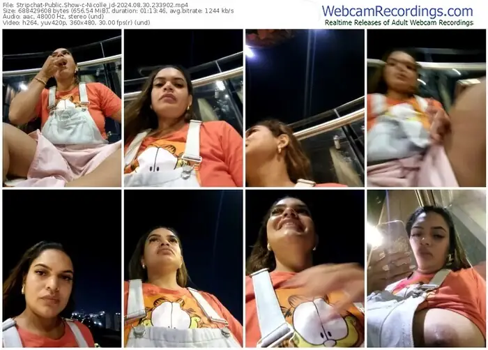 stripchat-nicolle_jd-08-30-2024-23-39-02