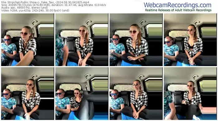 stripchat-_fake_taxi_-08-30-2024-04-18-25
