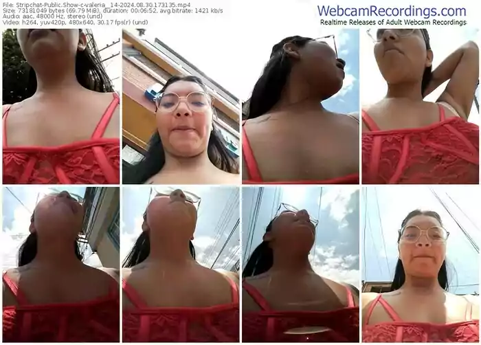 stripchat-valeria__14-08-30-2024-17-31-35