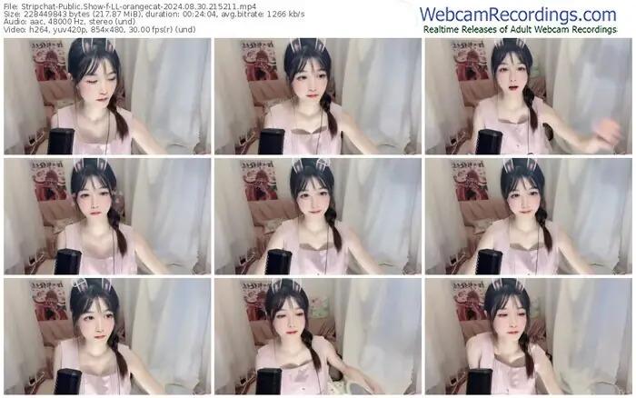 stripchat-ll-orangecat-08-30-2024-21-52-11