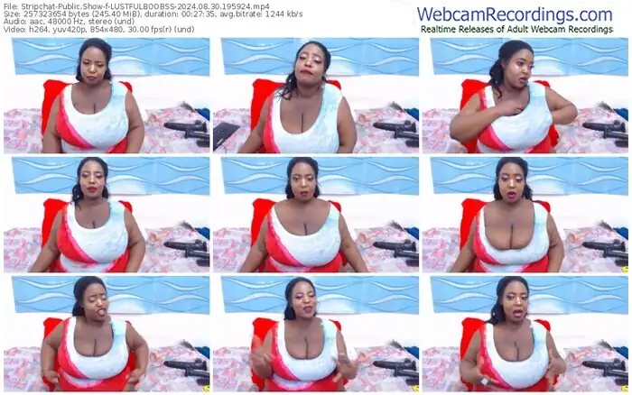 stripchat-lustfulboobss-08-30-2024-19-59-24
