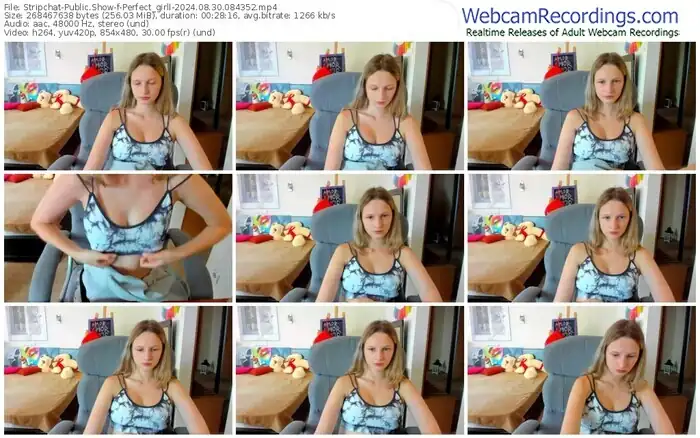 stripchat-perfect_girll-08-30-2024-08-43-52