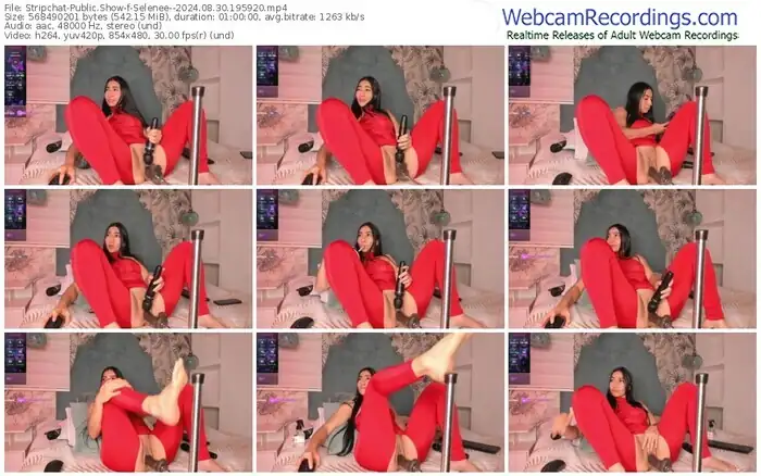 stripchat-selenee--08-30-2024-19-59-20