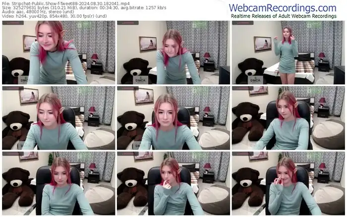 stripchat-tweet88-08-30-2024-18-20-41