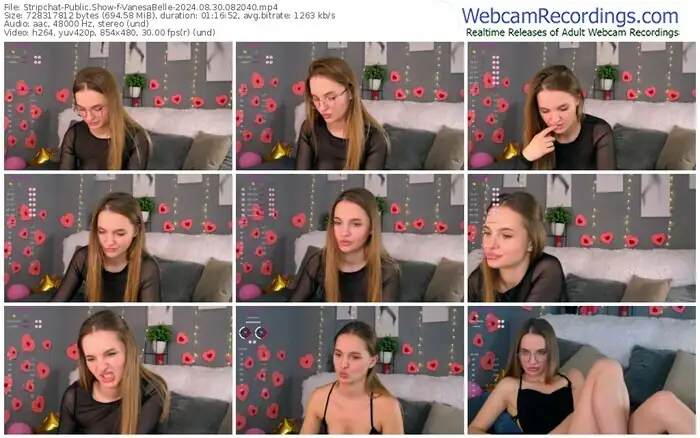 stripchat-vanesabelle-08-30-2024-08-20-40