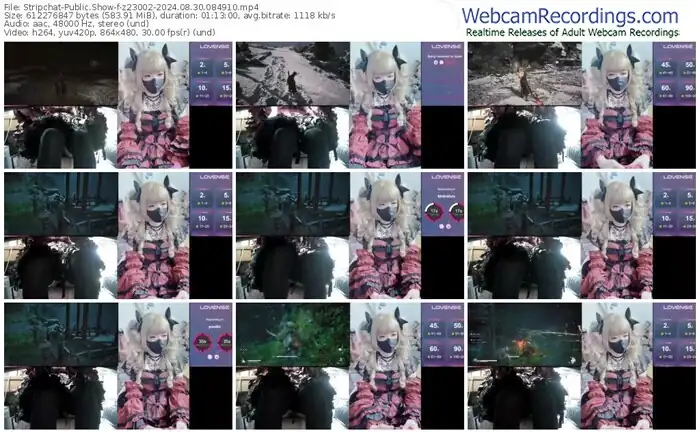 stripchat-z23002-08-30-2024-08-49-10