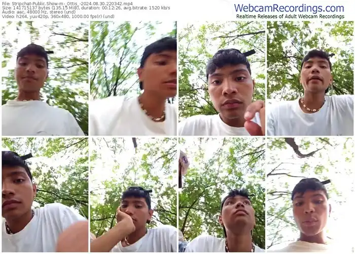 stripchat-_ottis_-08-30-2024-22-03-42