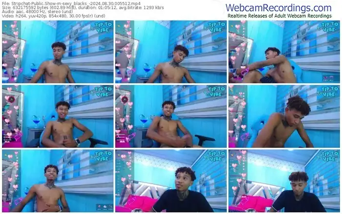 stripchat-sexy_blacks_-08-30-2024-00-55-12