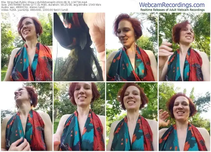 stripchat-exhibitionsplit-08-31-2024-13-47-34