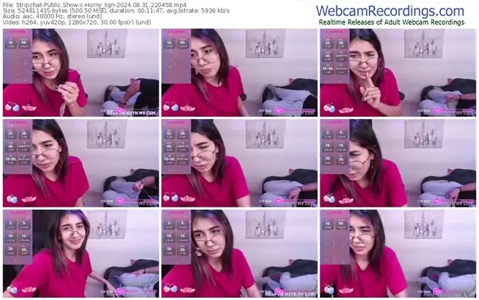 stripchat-horny_tgn-08-31-2024-22-04-58