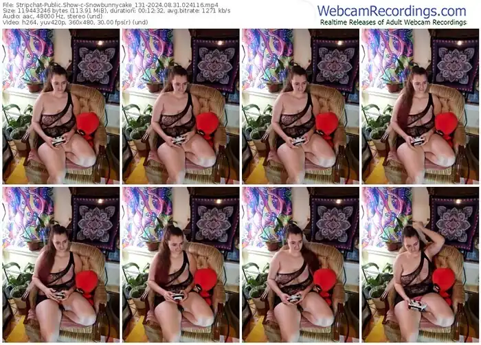 stripchat-snowbunnycake_131-08-31-2024-02-41-16