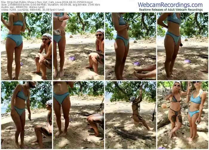 stripchat-two_hot_cats_love-08-31-2024-05-59-03