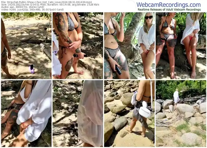 stripchat-two_hot_cats_love-08-31-2024-06-14-39