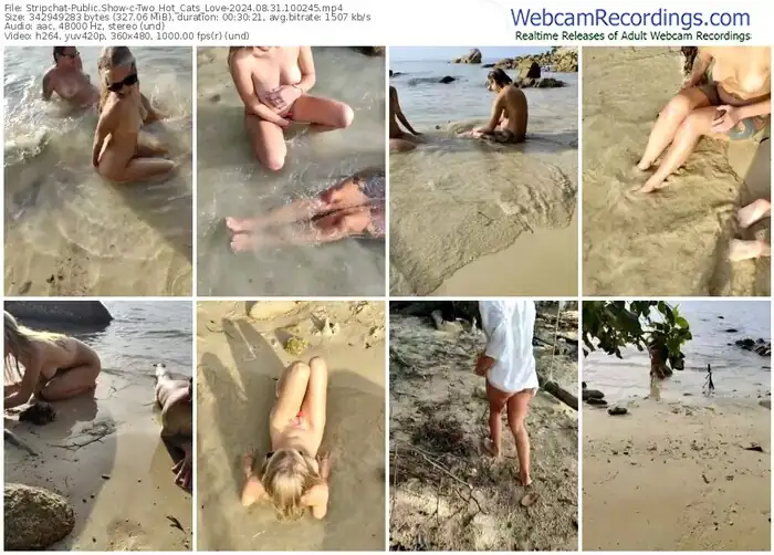 stripchat-two_hot_cats_love-08-31-2024-10-02-45