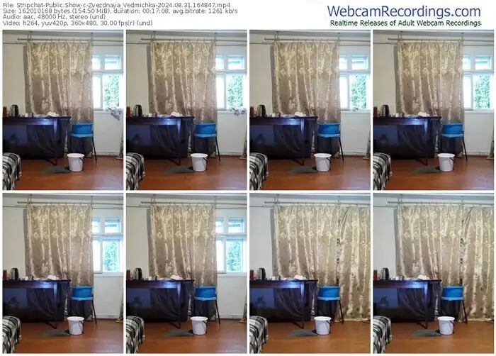 stripchat-zvezdnaya_vedmichka-08-31-2024-16-48-47