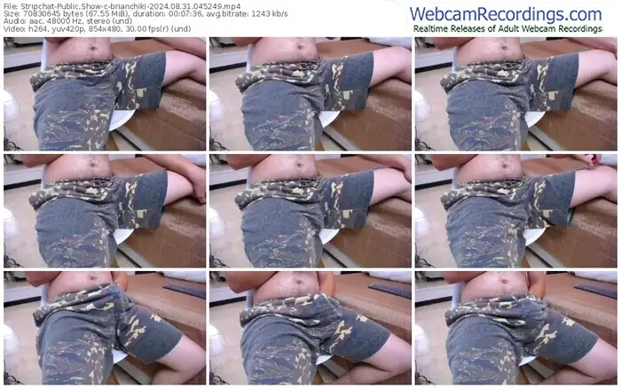 stripchat-brianchiki-08-31-2024-04-52-49