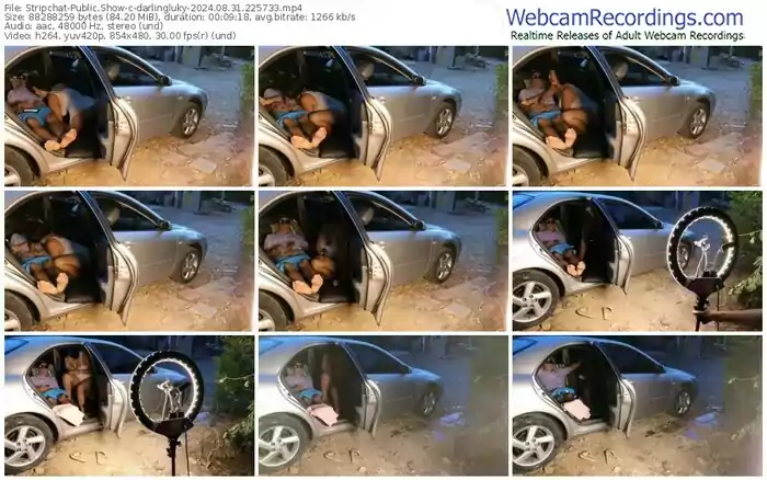 stripchat-darlingluky-08-31-2024-22-57-33