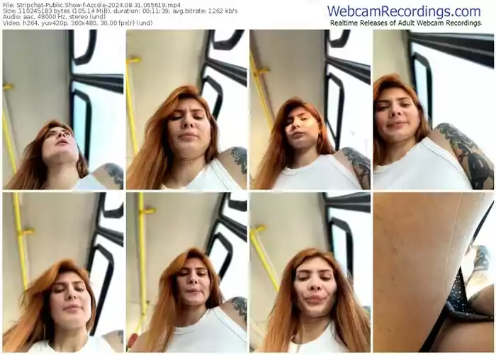 stripchat-accole-08-31-2024-06-56-19