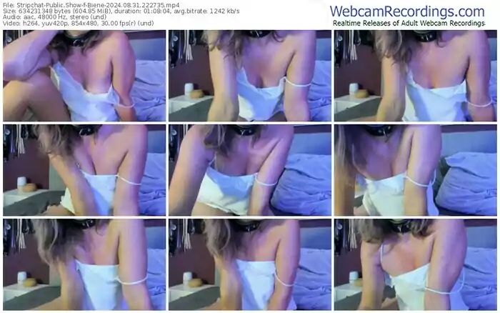 stripchat-biene-08-31-2024-22-27-35