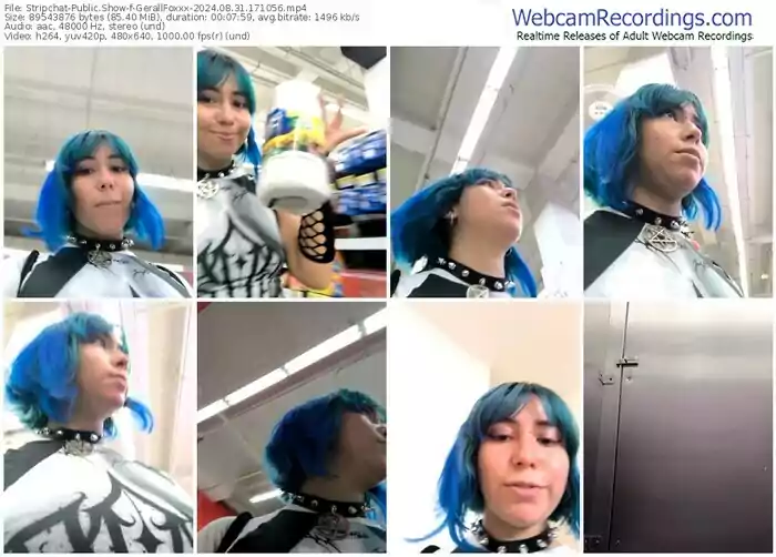 stripchat-gerallfoxxx-08-31-2024-17-10-56