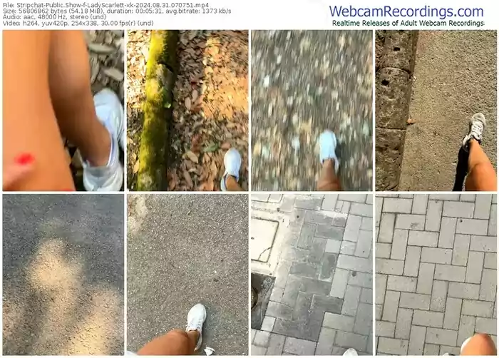 stripchat-ladyscarlett-xk-08-31-2024-07-07-51