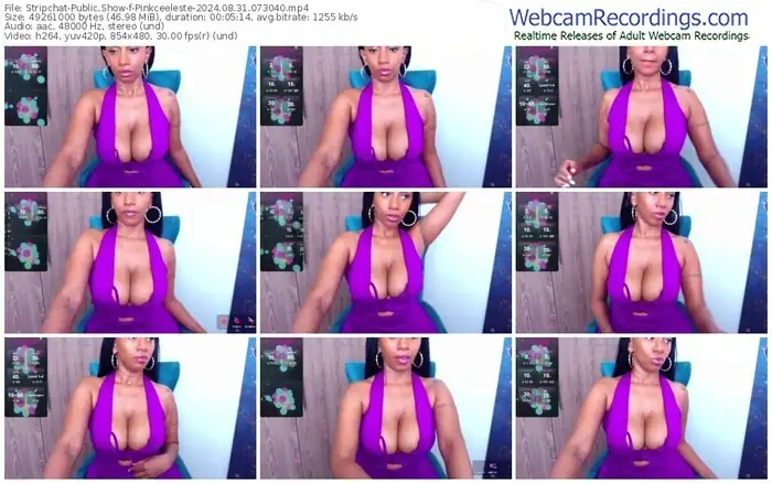 stripchat-pinkceeleste-08-31-2024-07-30-40