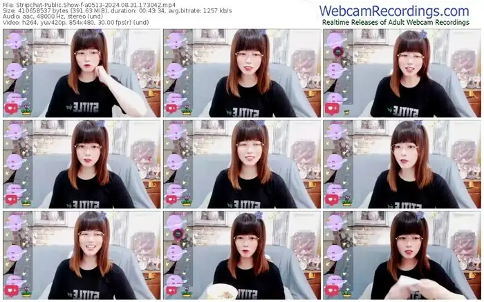 stripchat-a0513-08-31-2024-17-30-42