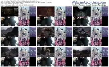 stripchat-z23002-08-31-2024-08-01-34