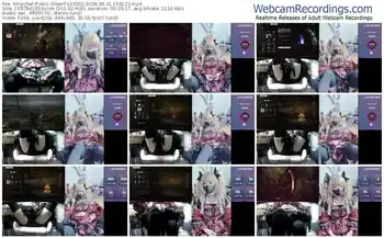 stripchat-z23002-08-31-2024-15-41-23