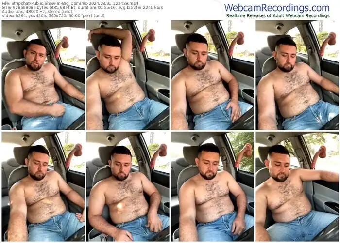 stripchat-big_dominic-08-31-2024-12-24-39