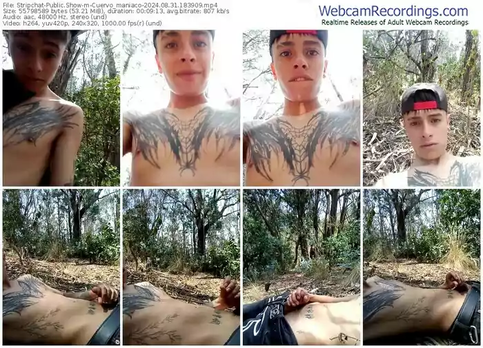 stripchat-cuervo_maniaco-08-31-2024-18-39-09