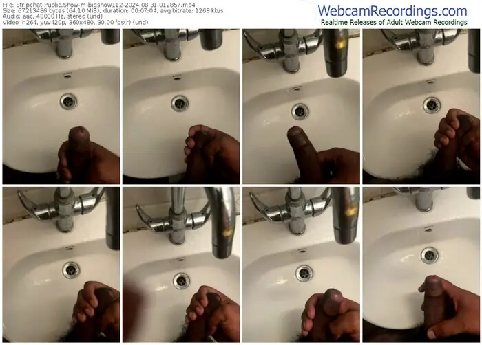 stripchat-bigshow112-08-31-2024-01-28-57