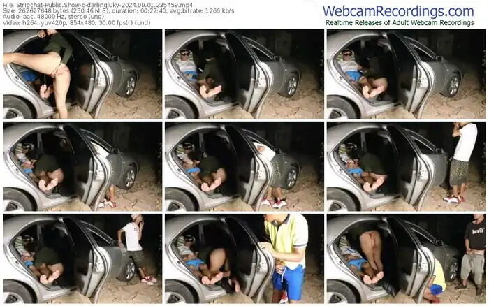 stripchat-darlingluky-09-01-2024-23-54-59