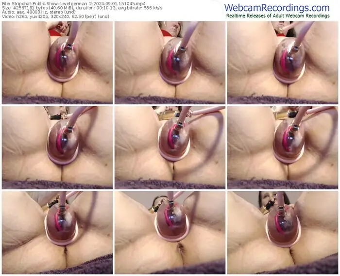 stripchat-wetgerman_2-09-01-2024-15-10-45