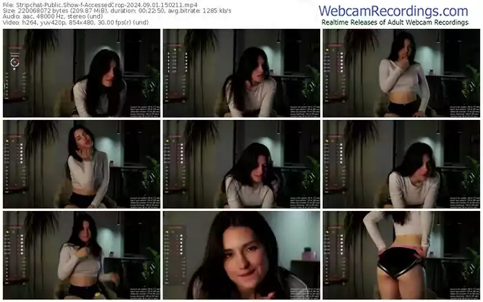 stripchat-accessedcrop-09-01-2024-15-02-11