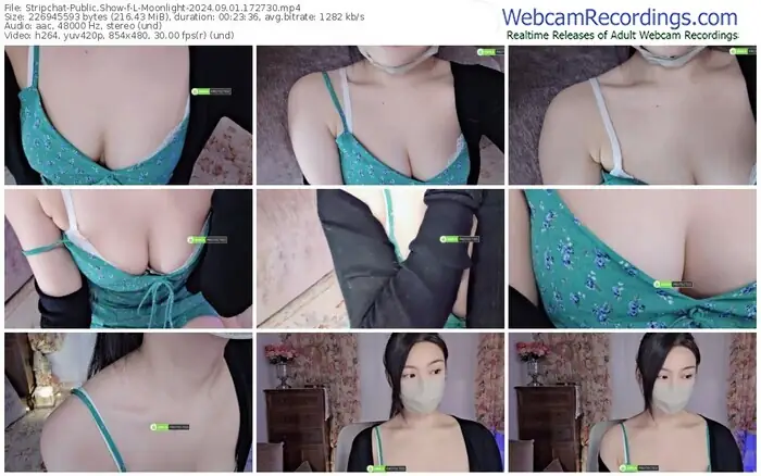 stripchat-l-moonlight-09-01-2024-17-27-30